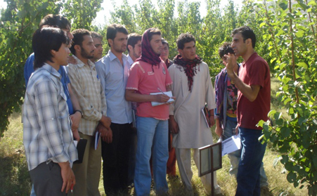 Internship students in Badam Bagh farm